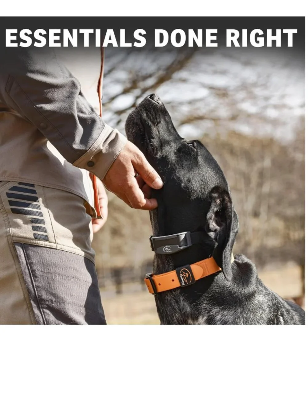 NEW SportDOG Rugged Waterproof Stink Proof Utility Durable Outdoor Dog Collar M